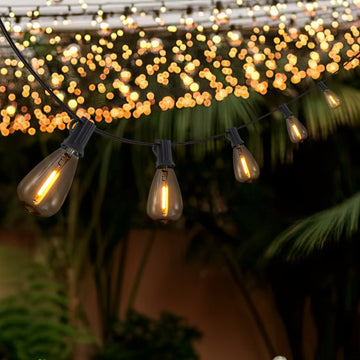 10-Light Indoor/Outdoor 10 ft. Rustic Industrial ST38 Clear Bulb String Lights